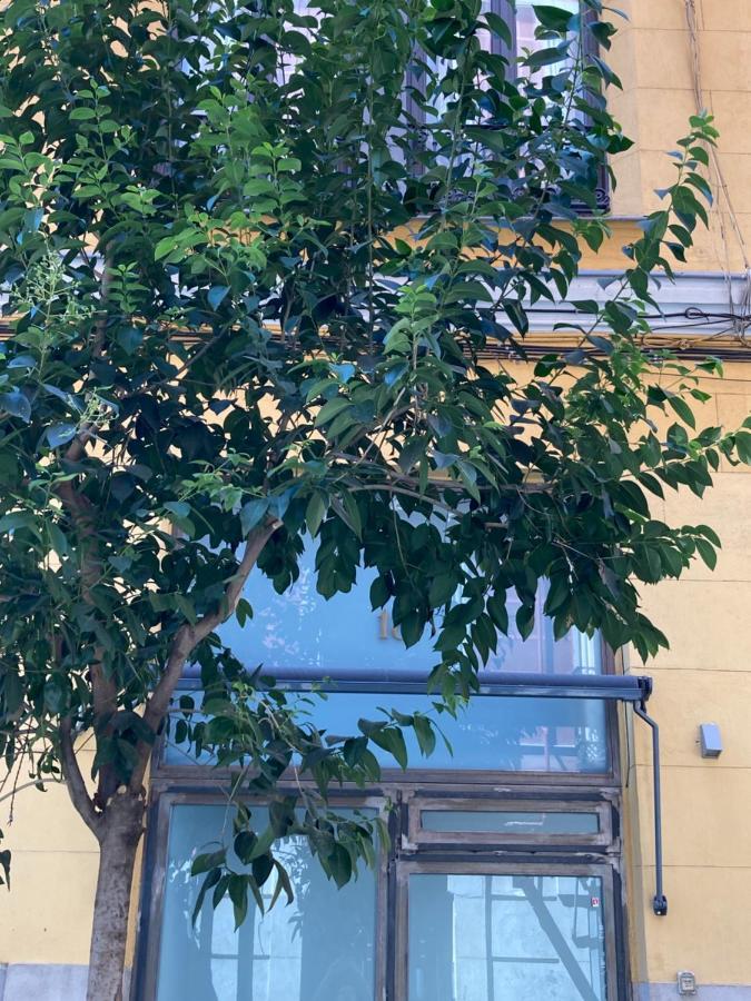 マドリードLuxury, Private Wellness In Prado Museum New Aug21アパートメント エクステリア 写真
